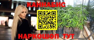 Альфа ПВП Будённовск
