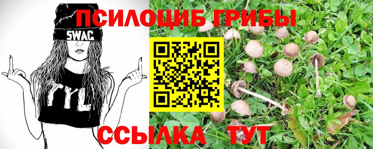 Псилоцибиновые грибы ЛСД Псков