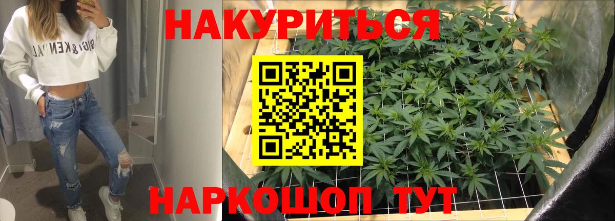 Бошки марихуана марихуана  Конопля VHQ  Бошки марихуана семена  Вход с VPN  Псков 